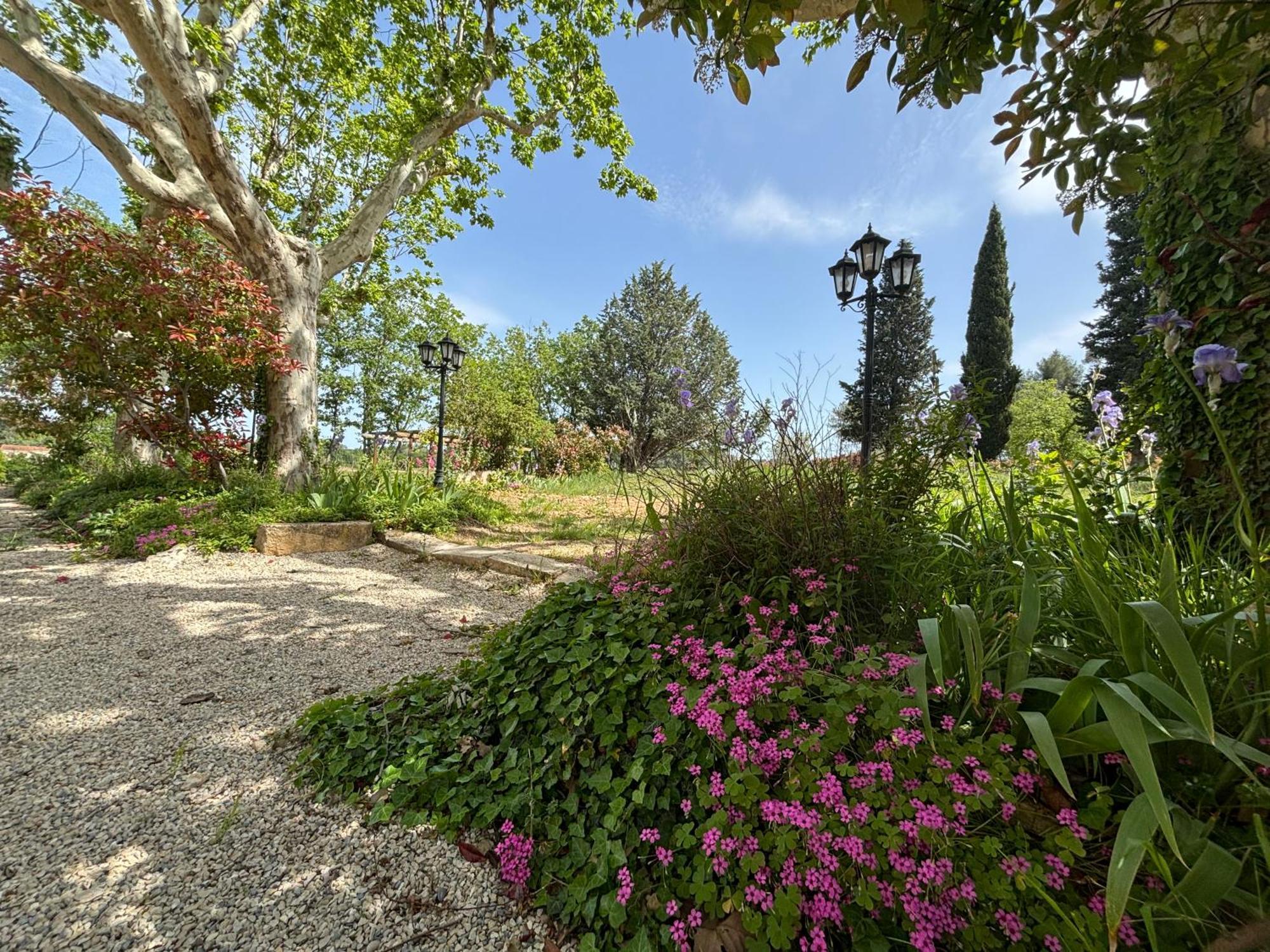 Havre De Paix Au Sein D'Un T3 D'Une Bastide Aixoise Aix-en-Provence Bagian luar foto