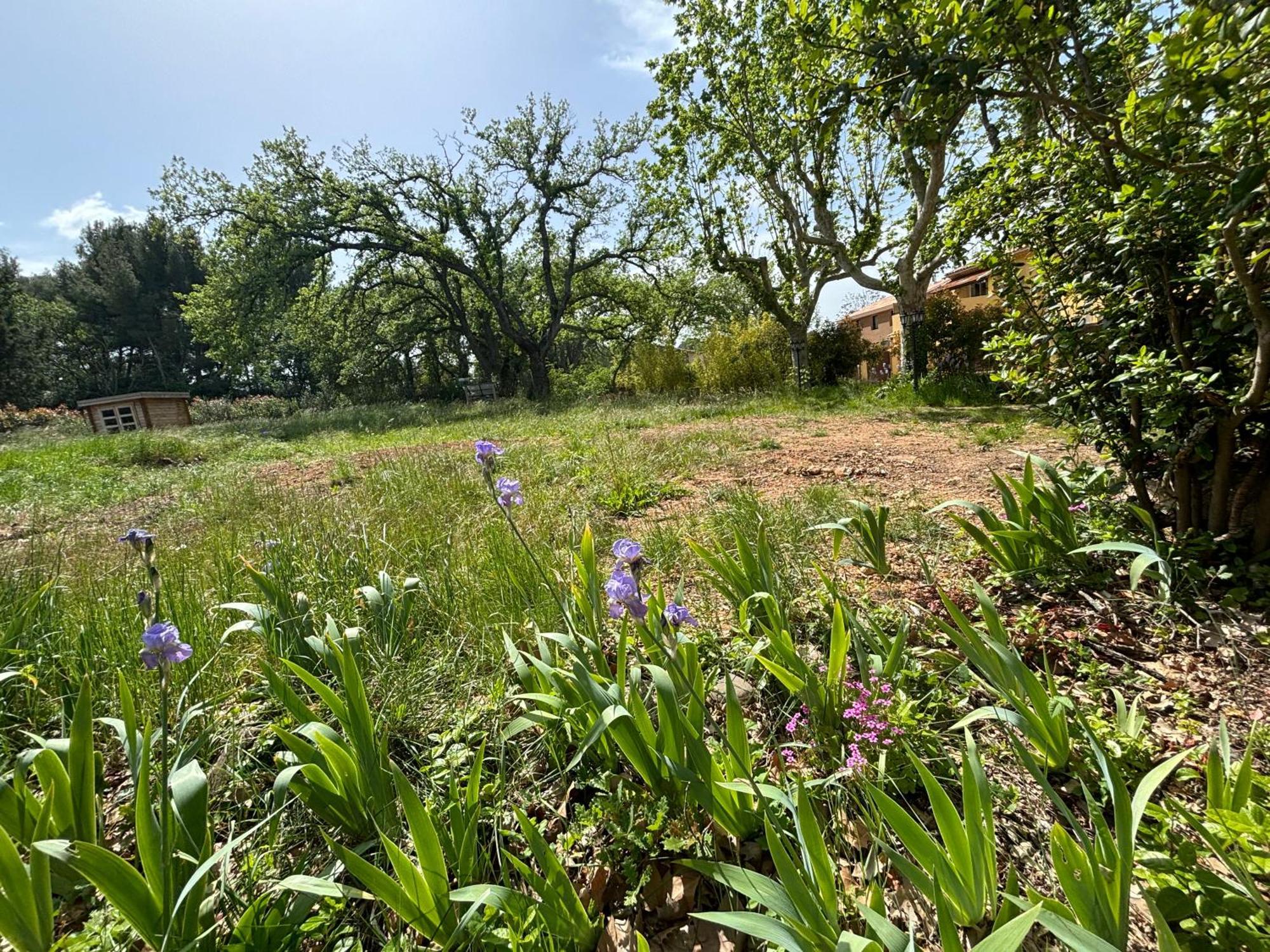 Havre De Paix Au Sein D'Un T3 D'Une Bastide Aixoise Aix-en-Provence Bagian luar foto